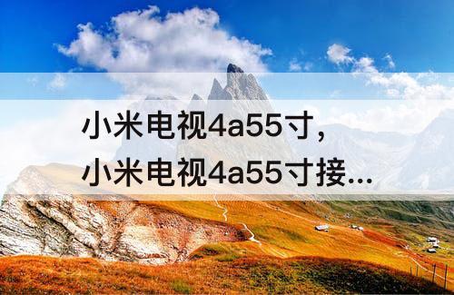 小米电视4a55寸，小米电视4a55寸接口图