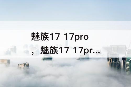 魅族17 17pro，魅族17 17pro重量