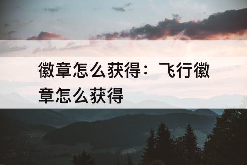 徽章怎么获得：飞行徽章怎么获得