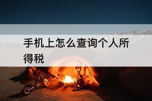 手机上怎么查询个人所得税