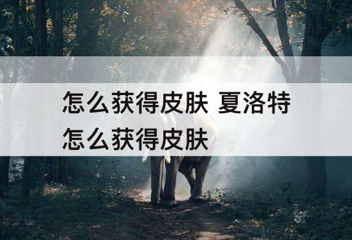 怎么获得皮肤 夏洛特怎么获得皮肤