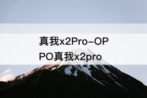 真我x2Pro-OPPO真我x2pro
