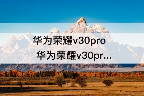 华为荣耀v30pro 华为荣耀v30pro参数详细参数
