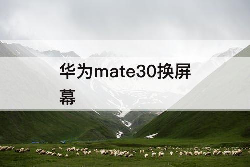 华为mate30换屏幕