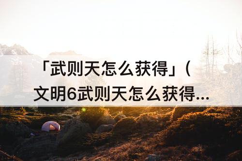 「武则天怎么获得」(文明6武则天怎么获得)