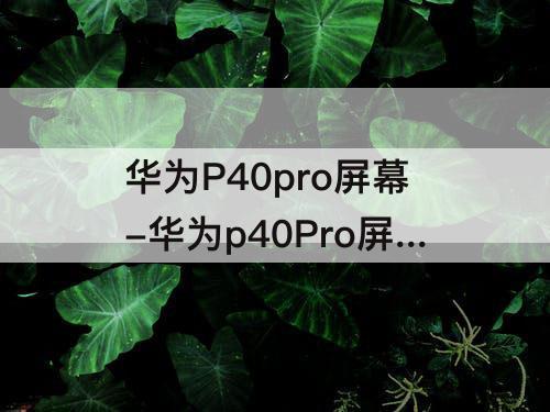 华为P40pro屏幕-华为p40Pro屏幕刷新率多少hz
