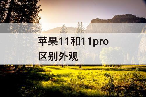 苹果11和11pro区别外观