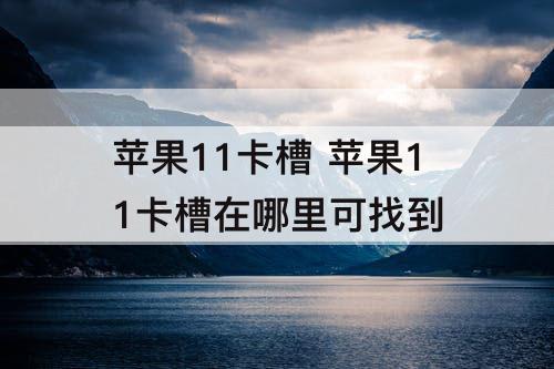苹果11卡槽 苹果11卡槽在哪里可找到