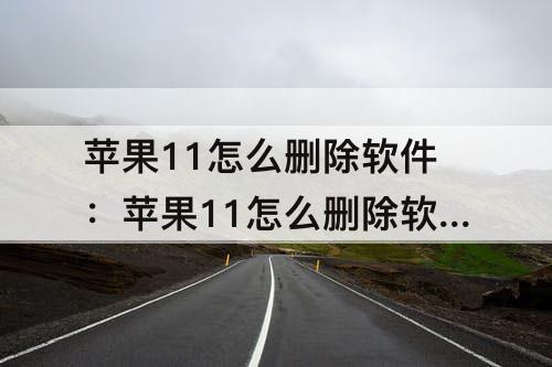 苹果11怎么删除软件：苹果11怎么删除软件的缓存但不卸载软件