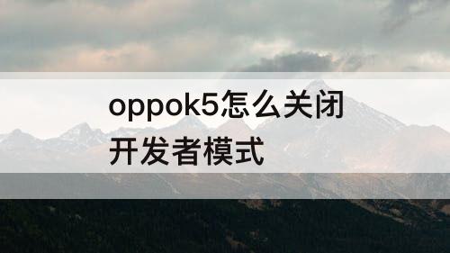 oppok5怎么关闭开发者模式