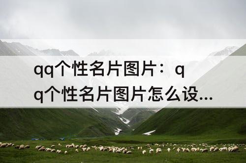 qq个性名片图片：qq个性名片图片怎么设置