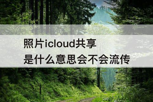 照片icloud共享是什么意思会不会流传