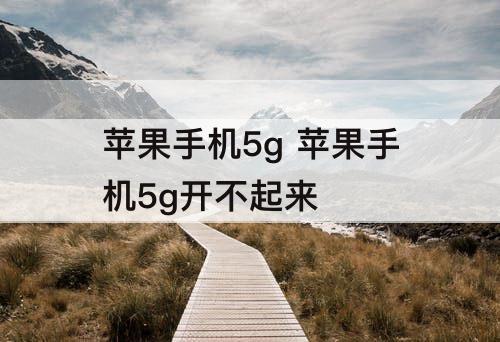 苹果手机5g 苹果手机5g开不起来