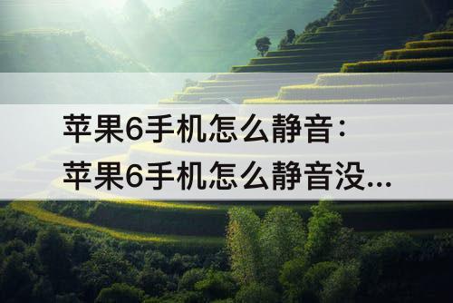 苹果6手机怎么静音：苹果6手机怎么静音没有震动