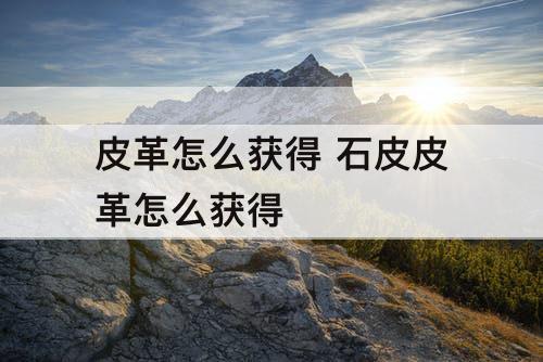 皮革怎么获得 石皮皮革怎么获得