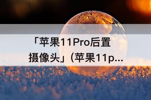 「苹果11Pro后置摄像头」(苹果11pro后置摄像头松动)