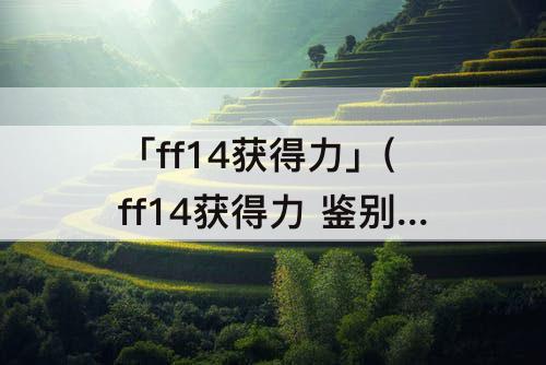 「ff14获得力」(ff14获得力 鉴别力 采集力)