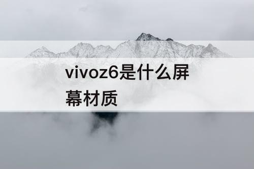 vivoz6是什么屏幕材质