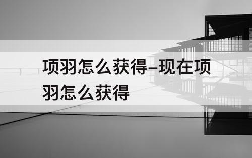项羽怎么获得-现在项羽怎么获得