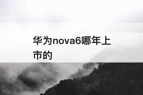 华为nova6哪年上市的