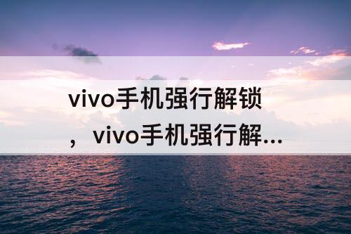 vivo手机强行解锁，vivo手机强行解锁屏