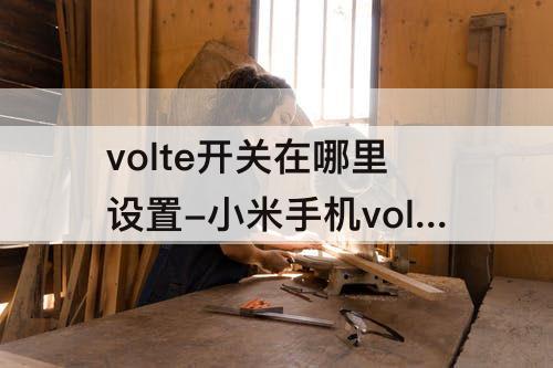 volte开关在哪里设置-小米手机volte开关在哪里设置