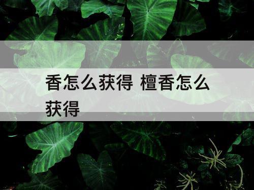 香怎么获得 檀香怎么获得