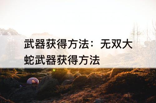 武器获得方法：无双大蛇武器获得方法