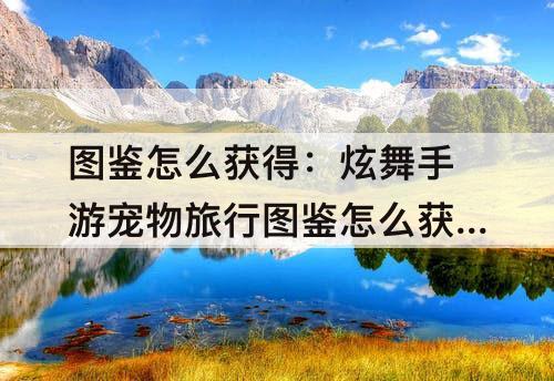 图鉴怎么获得：炫舞手游宠物旅行图鉴怎么获得