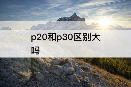 p20和p30区别大吗