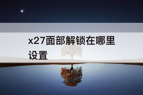x27面部解锁在哪里设置