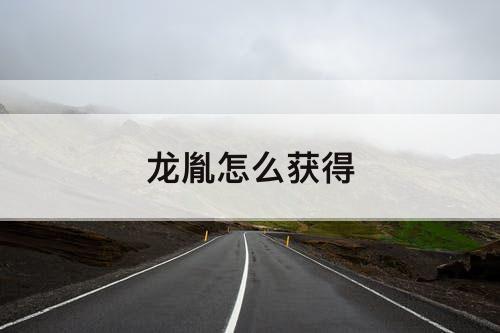 龙胤怎么获得