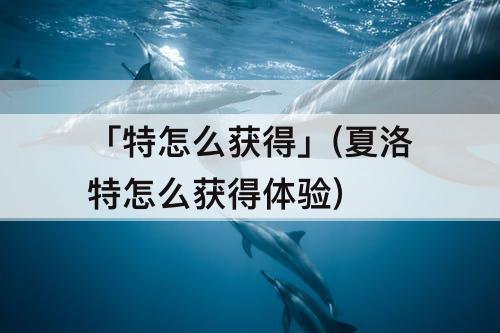 「特怎么获得」(夏洛特怎么获得体验)