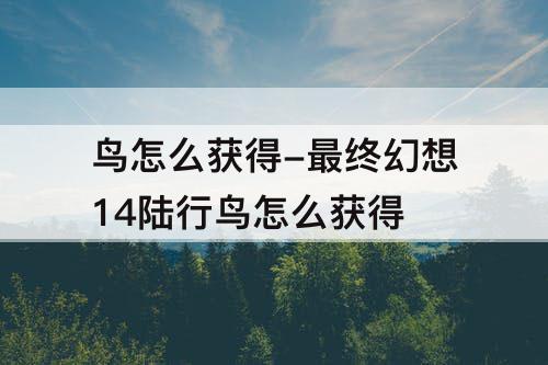 鸟怎么获得-最终幻想14陆行鸟怎么获得
