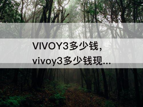 VIVOY3多少钱，vivoy3多少钱现在