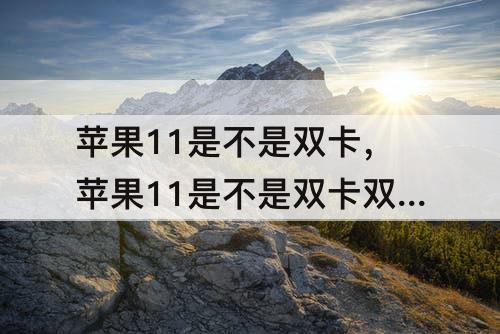 苹果11是不是双卡，苹果11是不是双卡双待怎么装