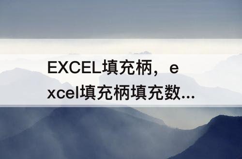 EXCEL填充柄，excel填充柄填充数据