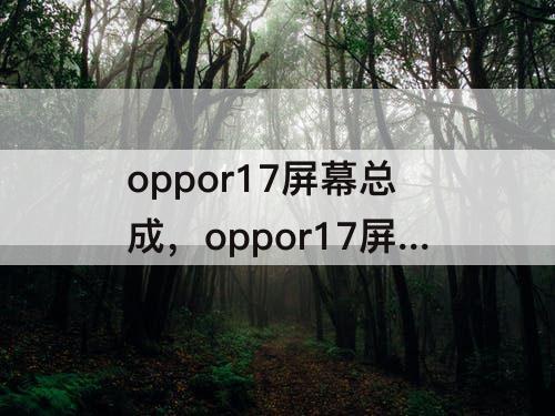 oppor17屏幕总成，oppor17屏幕总成安装后有声音没录像