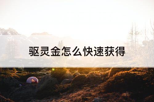 驱灵金怎么快速获得