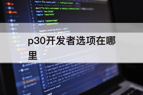 p30开发者选项在哪里