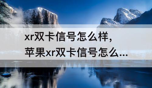 xr双卡信号怎么样，苹果xr双卡信号怎么样
