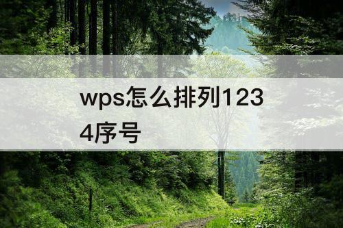 wps怎么排列1234序号