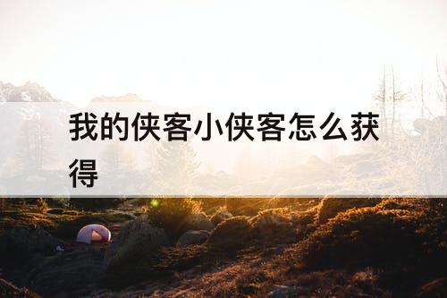 我的侠客小侠客怎么获得