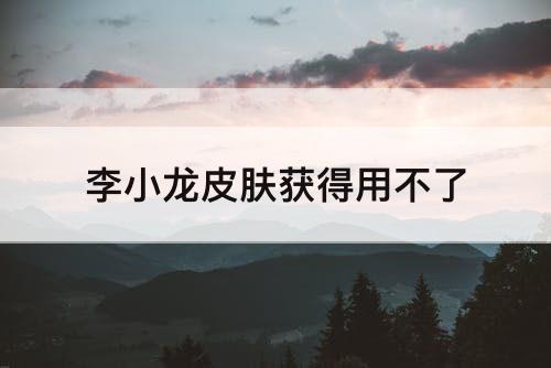 李小龙皮肤获得用不了