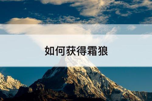 如何获得霜狼