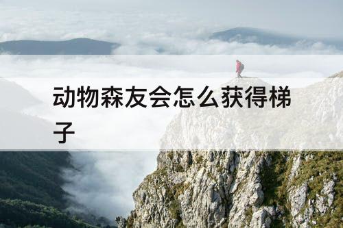 动物森友会怎么获得梯子