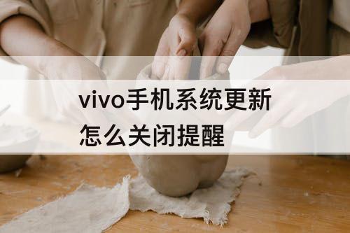 vivo手机系统更新怎么关闭提醒