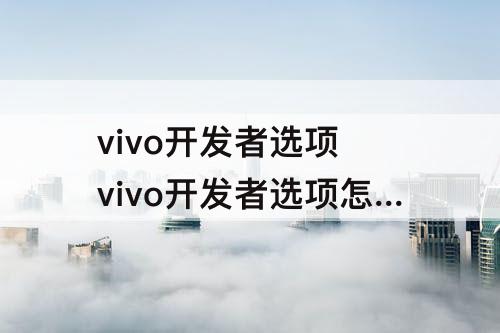 vivo开发者选项 vivo开发者选项怎么关闭顶部