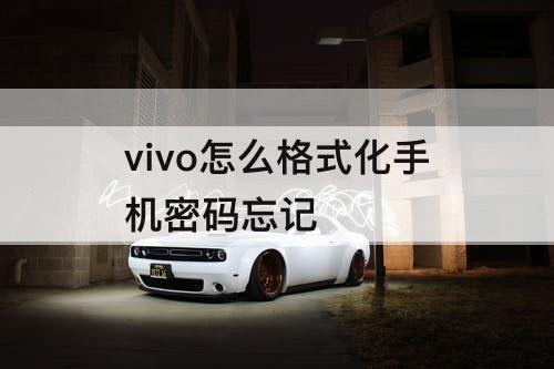vivo怎么格式化手机密码忘记