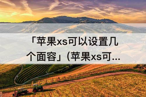「苹果xs可以设置几个面容」(苹果xs可以设置几个面容识别)